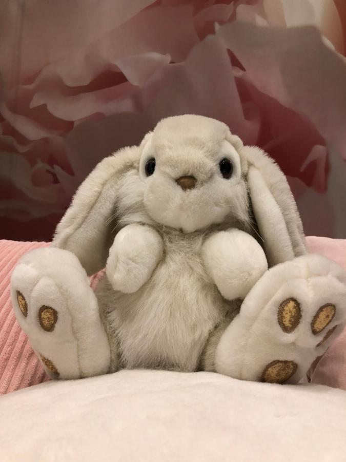 Pan Pan Le Lapin Aubagne-Cassis-Aix En Provence Apartment Bagian luar foto